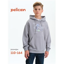 PELICAN Толстовка BFNK3377/2