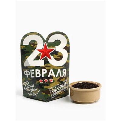 Чай подарочный «23 февраля», вкус: апельсин и корица, 50 г
