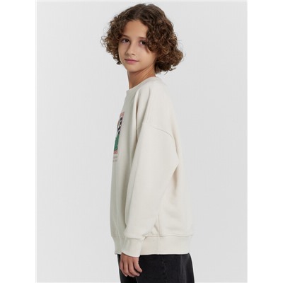 СВИТШОТ ДЛЯ МАЛЬЧИКОВ 123437/1