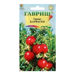 Семена комнатных цветов Гранат «Карфаген», 5 шт., «Гавриш»
