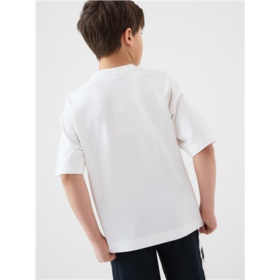 Фуфайка трикотажная для мальчиков (футболка)