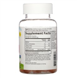 Garden of Life, Kids, витамин D3, апельсиновый вкус, 20 мкг (800 МЕ), 60 вегетарианских жевательных таблеток