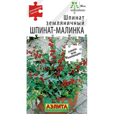 Шпинат Шпинат-Малинка (Код: 91072)