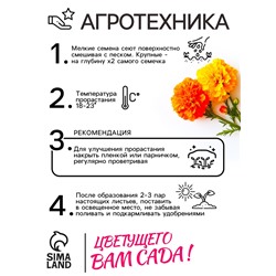Семена цветов Бархатцы отклонённые «Петит», смесь, 0.3 г