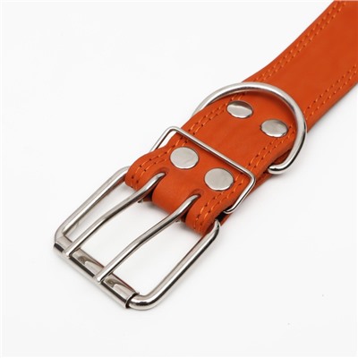 Ошейник кожаный на синтепоне, безразмерный, 83×4.5 см, ОШ 20-71 см, оранжевый