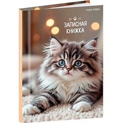 Записная книжка А7 64л клетка "МИЛЫЕ КОТЯТА - 6" 64-8639 Проф-Пресс
