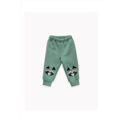 Брюки футер начёс Енот 20551