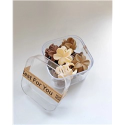 Набор крабиков для волос в боксе (10 шт)