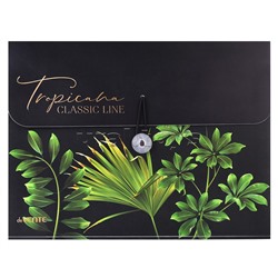 Папка с резинкой с 8-ю отделениями "Tropicana" A4 (328x235x16 мм) 600 мкм, фактура "песок" с рисунком, тиснение фольгой, внутренние карманы 140 мкм, индивидуальная упаковка