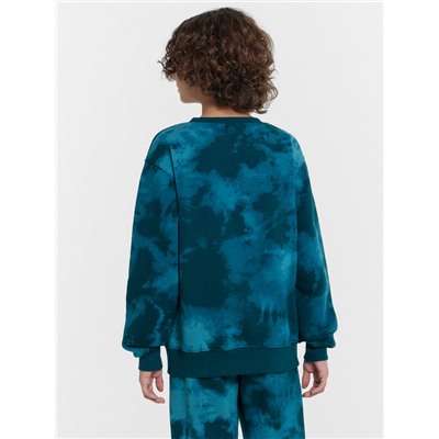 СВИТШОТ ДЛЯ МАЛЬЧИКОВ 123431/1