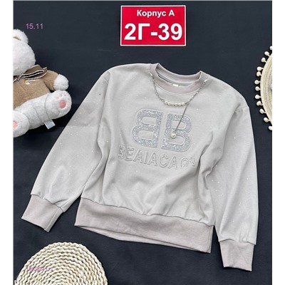 Толстовка 1849041-1