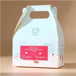 Соль для ванны URAL LAB «Волшебной зимы», 500 г, аромат малиновый пунш, Новый Год