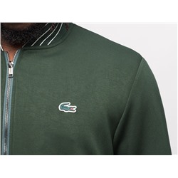 Спортивный костюм Lacoste