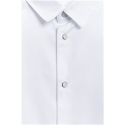 Рубашка ACOOLA, 1133359