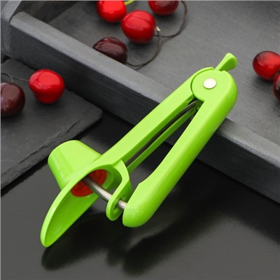 Удалитель косточек из вишни Доляна «Эдда», h=20 см, зелёный