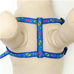 Комплект «Цветные следы», ширина 1 см, поводок 120 см, шлейка 23-35 см, синий