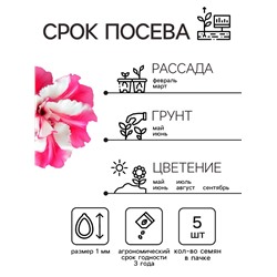 Семена   Петуния "Роуз энд Уайт" F1 многоцветковая махровая , 5 шт