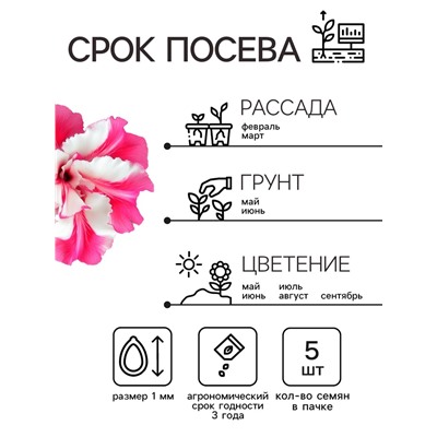 Семена   Петуния "Роуз энд Уайт" F1 многоцветковая махровая , 5 шт