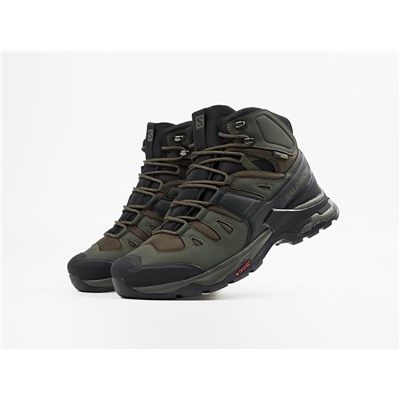 Зимние Ботинки Salomon Quest 4 GTX