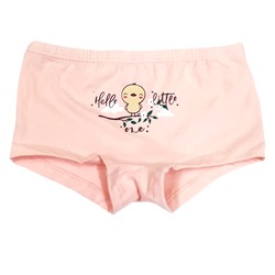 5664 Трусы шорты для девочек многоцвет (BAYKAR)