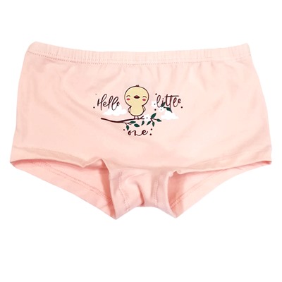 5664 Трусы шорты для девочек многоцвет (BAYKAR)