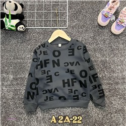 Толстовка 1981328-3