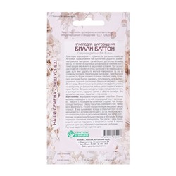 Семена цветов Краспедия шаровидная «Билли Баттон», многолетник, сухоцвет, 0.05 г, «Евросемена»