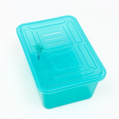 Отсадник для черепах «Озеро» с крышкой, 33×23.5×14 см