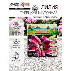 Лилия Турецкая шапочная "Spec.Var. Rubrum Uchida", р-р 12/14, 2 шт.