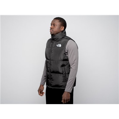 Жилет The North Face