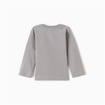 Лонгслив для мальчика, рост 74 см, серый