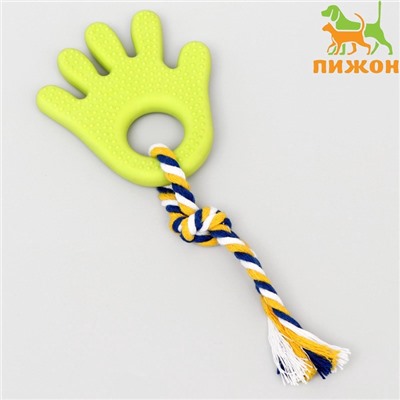Игрушка жевательная для собак «Ладошка», 10 см, с канатом, салатовая