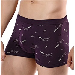 Трусы-боксеры А08527280