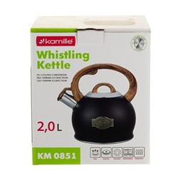 Чайник #23062776