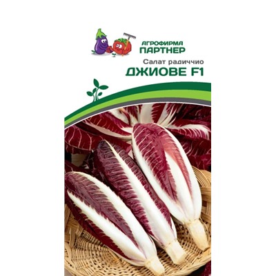 3162P Салат радиччио ДЖИОВЕ F1 15шт