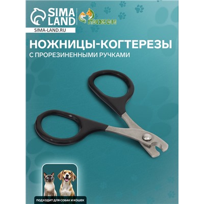 Ножницы-когтерезы с прорезиненными ручками, 8×5×0.3 см, эконом, микс цветов