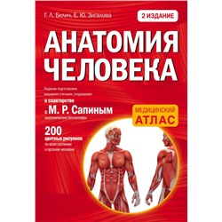 Эксмо Габриэль Билич, Елена Зигалова "Анатомия человека (цветной атлас): 2 издание"
