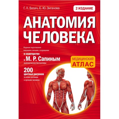 Эксмо Габриэль Билич, Елена Зигалова "Анатомия человека (цветной атлас): 2 издание"