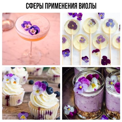 Цветы съедобные «Виола» для капкейков, тортов, куличей, напитков, 5 шт.