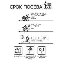 Семена цветов Иберис "Александрит", Евро, 0,1 г