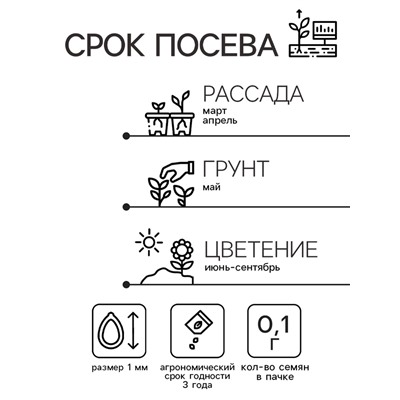 Семена цветов Иберис "Александрит", Евро, 0,1 г
