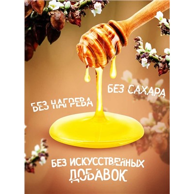 Мед натуральный Гречишный 1 кг.