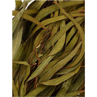 Веник для бани, эвкалиптовый, в еврослоте, «Добропаровъ»