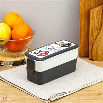 Ланч-бокс 2 секции (0, 5л+0, 5л), 19х8х9, 5см, с декором, пластик