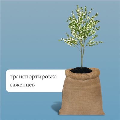 Мешок джутовый, 40×60 см, плотность 45×45 нитей, без завязок, Greengo