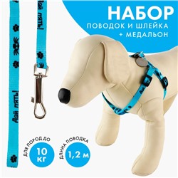 Поводок «Дай пять!» 120×1 см, шлейка 26-39 см, медальон