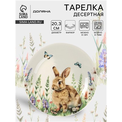 Тарелка десертная Доляна «Зайка», d=20.3 см, фарфор, белая