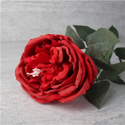 Цветок искусственный Пионовидная роза 59 см / GR-005 /уп 144/силикон