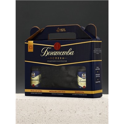 Подарочный набор мужской «Богатства», гель для душа, шампунь для волос, мочалка, Чистое счастье