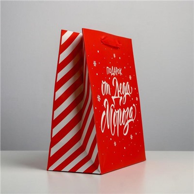 Пакет подарочный новогодний ламинированный «Подарок от Деда Мороза», ML 23×27×11.5 см